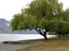newzealandqueenstown44_small.jpg