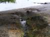 newzealandqueenstown45_small.jpg