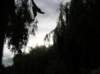 newzealandqueenstown47_small.jpg