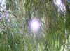 newzealandqueenstown48_small.jpg