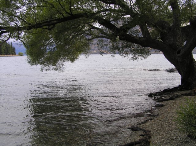 newzealandqueenstown50.jpg
