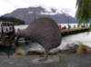 newzealandqueenstown54_small.jpg