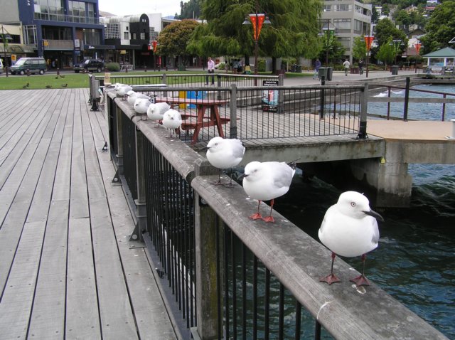 newzealandqueenstown6.jpg