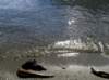 newzealandqueenstown66_small.jpg
