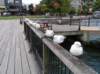 newzealandqueenstown6_small.jpg