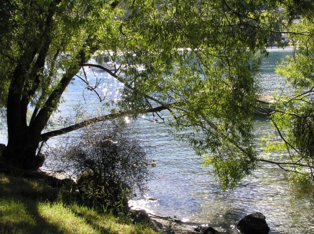 newzealandqueenstown72.jpg