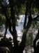 newzealandqueenstown74_small.jpg