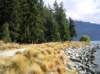 newzealandqueenstown79_small.jpg