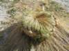 newzealandqueenstown81_small.jpg