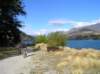 newzealandqueenstown88_small.jpg