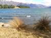 newzealandqueenstown89_small.jpg