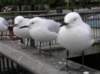 newzealandqueenstown8_small.jpg