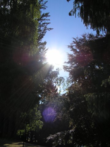 newzealandqueenstowngardens15.jpg