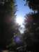newzealandqueenstowngardens15_small.jpg