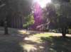 newzealandqueenstowngardens16_small.jpg
