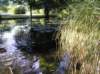 newzealandqueenstowngardens19_small.jpg