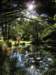 newzealandqueenstowngardens23_small.jpg