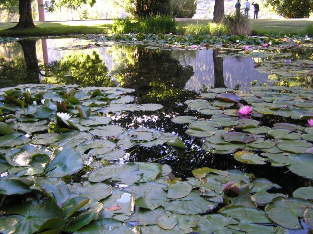 newzealandqueenstowngardens25.jpg
