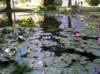 newzealandqueenstowngardens25_small.jpg