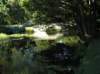 newzealandqueenstowngardens27_small.jpg