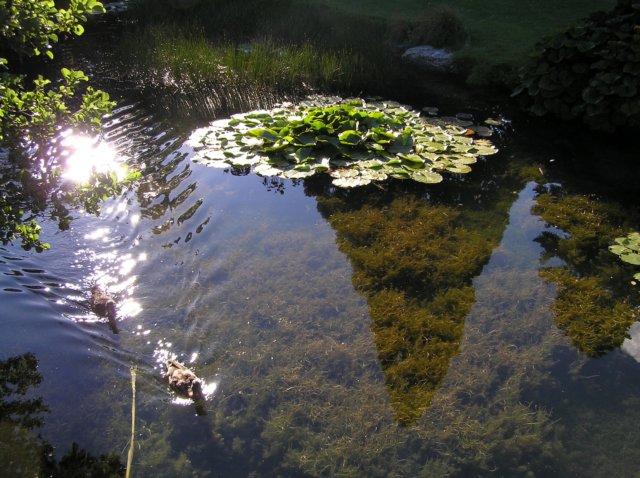 newzealandqueenstowngardens28.jpg