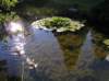 newzealandqueenstowngardens28_small.jpg