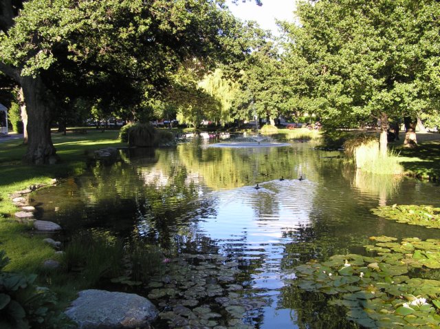 newzealandqueenstowngardens30.jpg