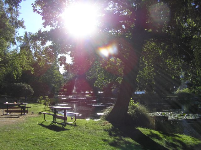 newzealandqueenstowngardens37.jpg