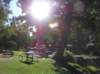 newzealandqueenstowngardens37_small.jpg