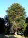 newzealandqueenstowngardens38_small.jpg