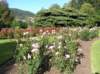 newzealandqueenstowngardens5_small.jpg