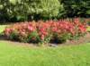 newzealandqueenstowngardens7_small.jpg