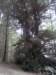 newzealandqueenstowngondolatrack15_small.jpg