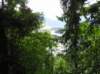 newzealandqueenstowngondolatrack7_small.jpg