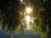 newzealandqueenstownsunset13_small.jpg