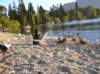 newzealandqueenstownsunset17_small.jpg