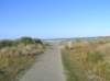 newzealandtimaru2_small.jpg
