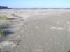 newzealandtimaru3_small.jpg