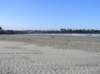 newzealandtimaru4_small.jpg