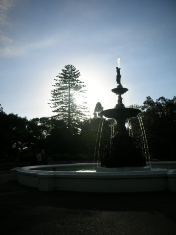 newzealandauklandalbertpark19.jpg