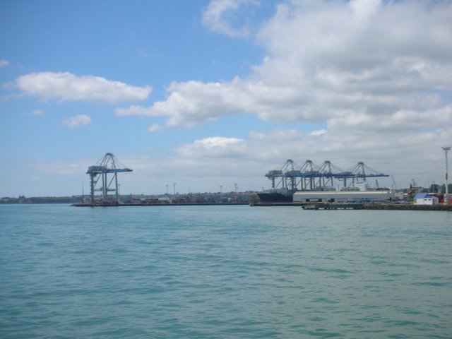 newzealandauklanddevenport3.jpg