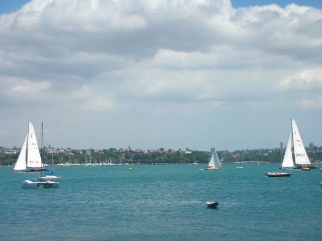 newzealandauklanddevenportamericascup.jpg