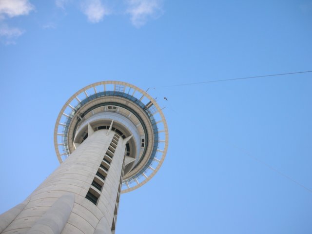 newzealandauklandskytowerjumper.jpg