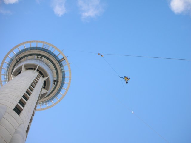 newzealandauklandskytowerjumper2.jpg