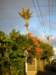 newzealandauklandsunset11_small.jpg