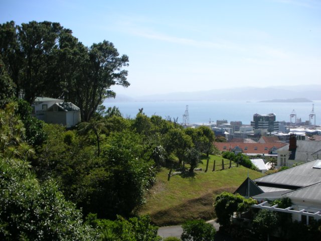 newzealandwellington12.jpg