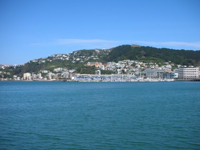 newzealandwellington23.jpg