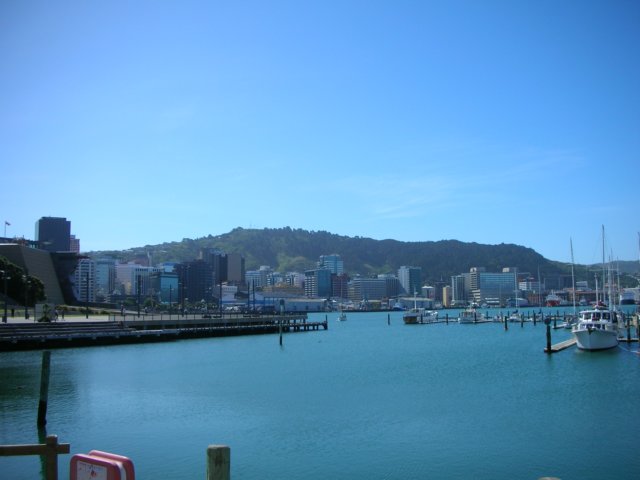 newzealandwellington42.jpg