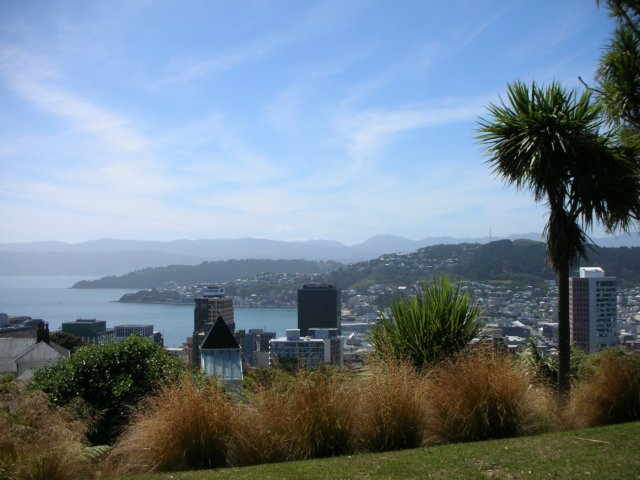 newzealandwellingtonbotanicgarden2.jpg