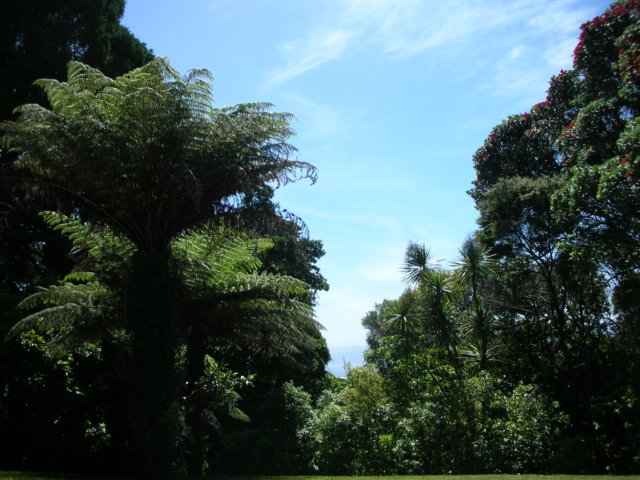 newzealandwellingtonbotanicgarden22.jpg